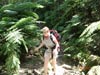 Tsitsikamma Trail