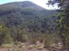 Outeniqua Hiking Trail