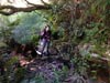 Outeniqua Hiking Trail