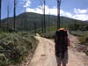 Outeniqua Hiking Trail