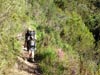 Outeniqua Hiking Trail