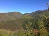 Outeniqua Hiking Trail