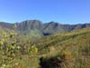 Outeniqua Hiking Trail