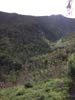 Outeniqua Hiking Trail