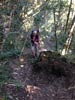 Outeniqua Hiking Trail