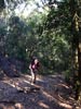 Outeniqua Hiking Trail