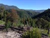 Outeniqua Hiking Trail