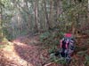 Outeniqua Hiking Trail