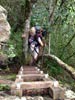 Outeniqua Hiking Trail