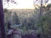 Outeniqua Hiking Trail