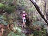 Outeniqua Hiking Trail