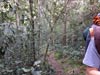 Outeniqua Hiking Trail