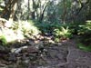 Outeniqua Hiking Trail