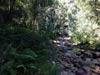 Outeniqua Hiking Trail