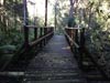 Outeniqua Hiking Trail