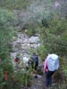 Tsitsikamma Trail