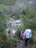 Tsitsikamma Trail