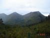Tsitsikamma Trail